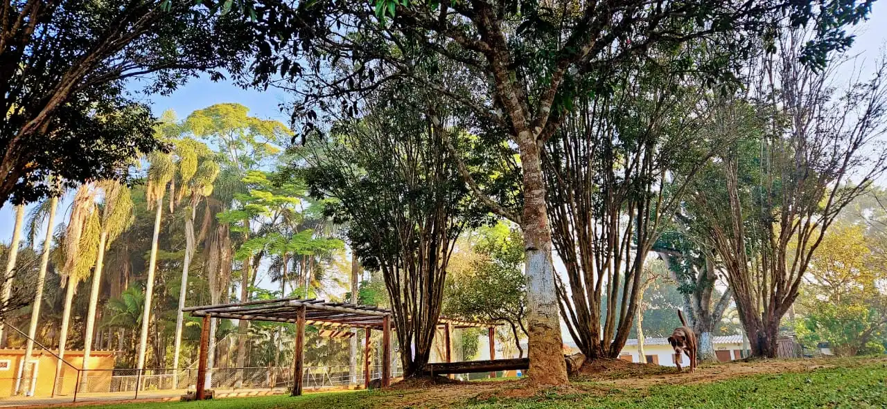 Ambiente externo tranquilo da Habepi, com um jardim bem cuidado.